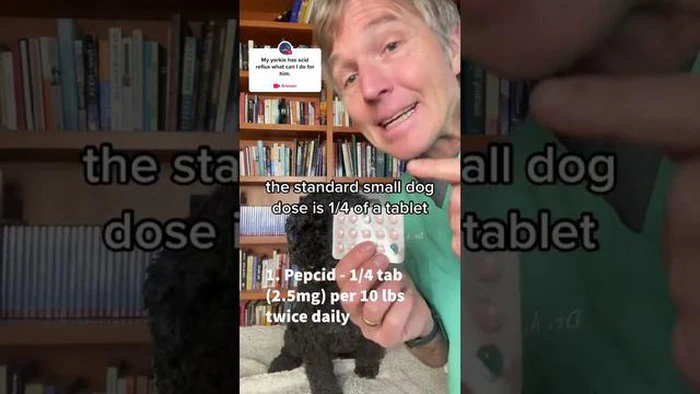 Mi a teendő, ha a kutya megette a Pepcid Complete: Pepcid Pidecid: Okok, tünetek és kezelés