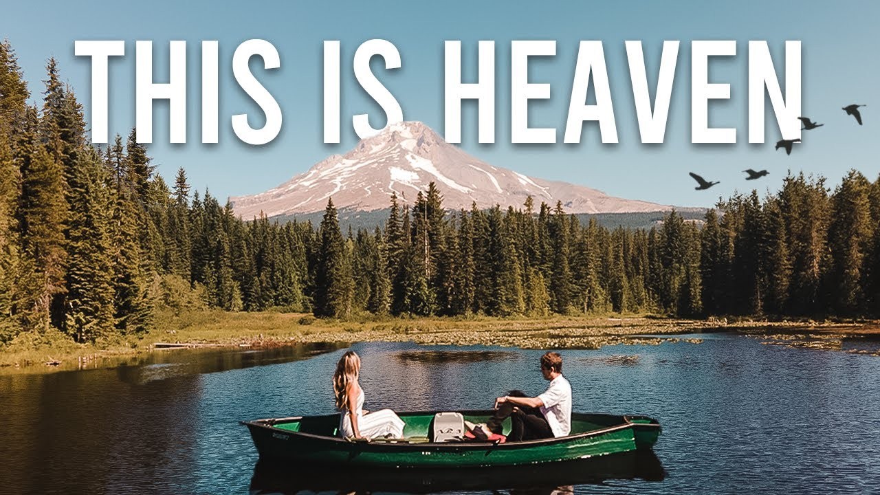 Pode trazer o seu cão para a Floresta Nacional de Mt Hood?