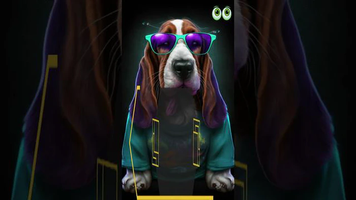 Porque é que os Basset Hounds parecem tristes: Desvendando o segredo por trás das suas expressões cativantes