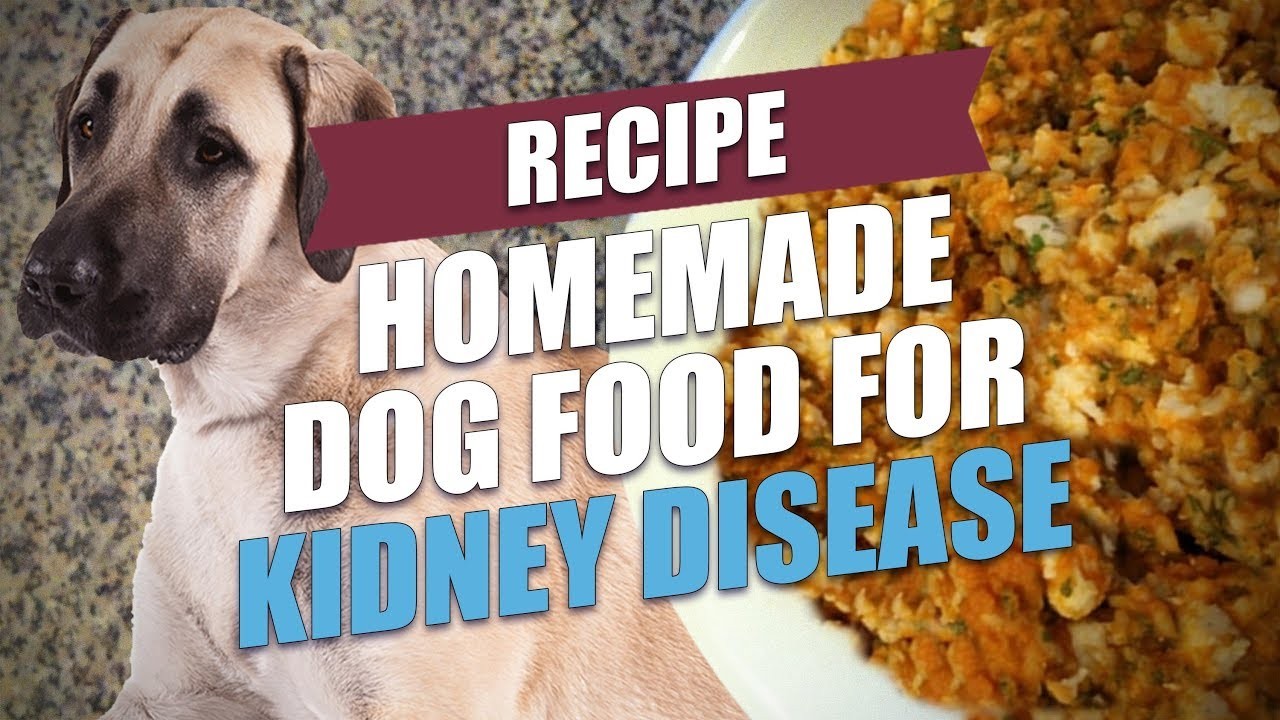 Can dogs with kidney disease eat eggs?