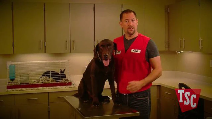 Shop der besten Tractor Supply Hundeschermaschinen für ein perfektes Grooming-Erlebnis