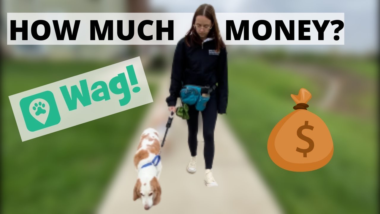 How Much Can Dog Walkers Earn: A Comprehensive Guide