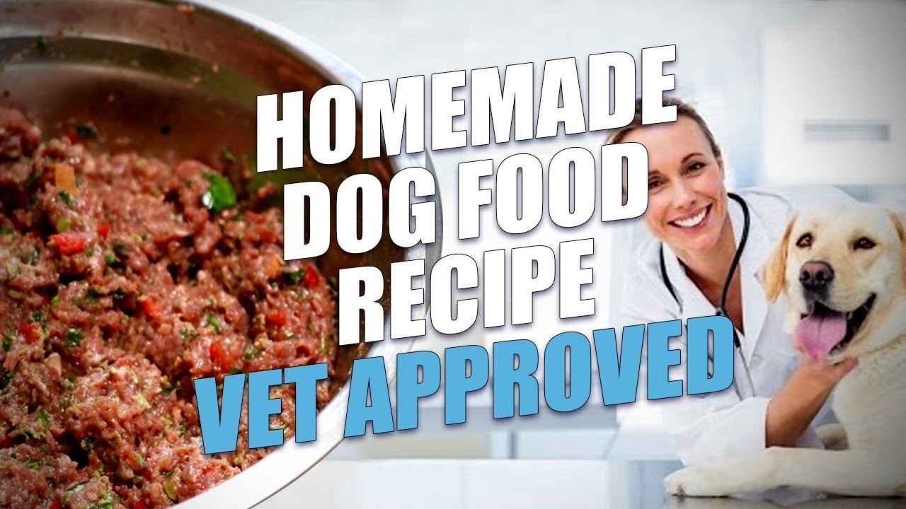 Simple and Nutritious Homemade Dog Food Recipes for Labradors