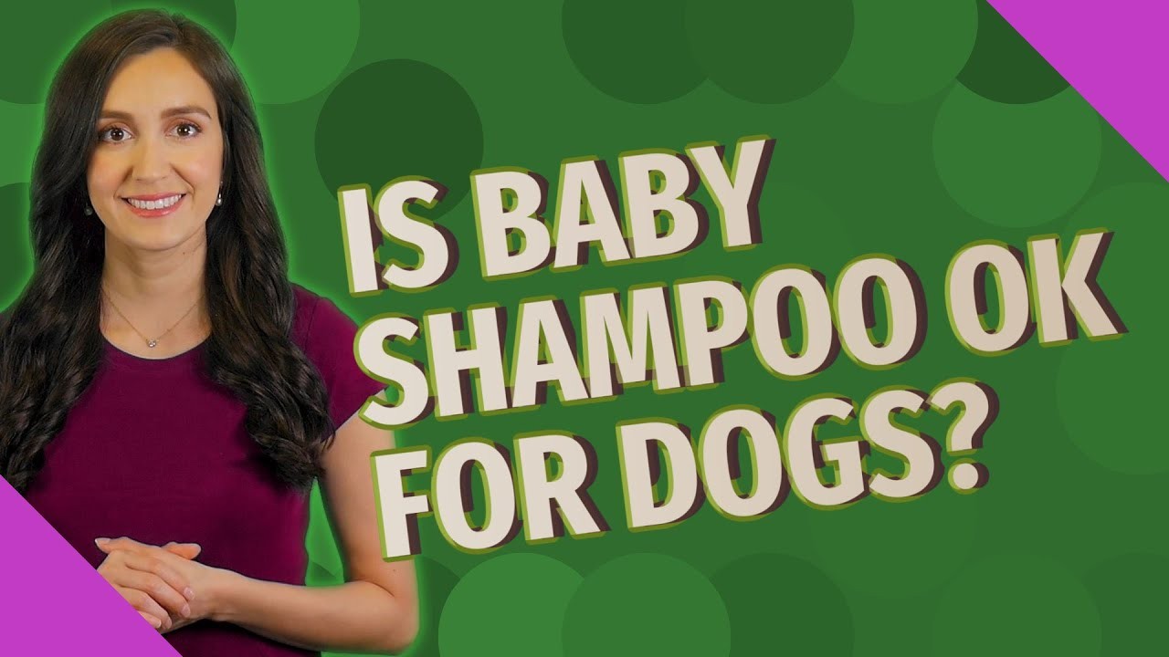¿Es seguro utilizar el champú Johnson's baby en cachorros?