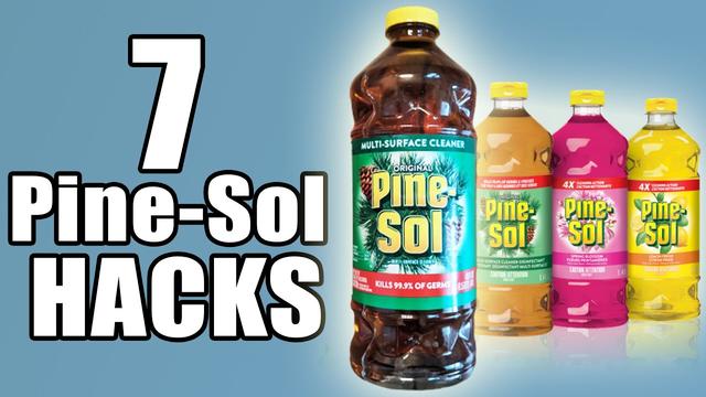 how-effective-is-pine-sol-in-removing-dog-urine-smell