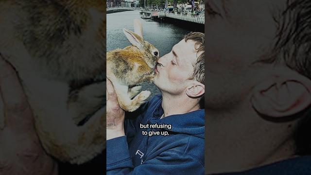 My Dog Killing a Baby Rabbit: Understanding Predator-Prey Dynamics