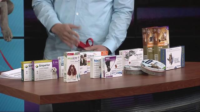 pills for dogs to get rid of fleas