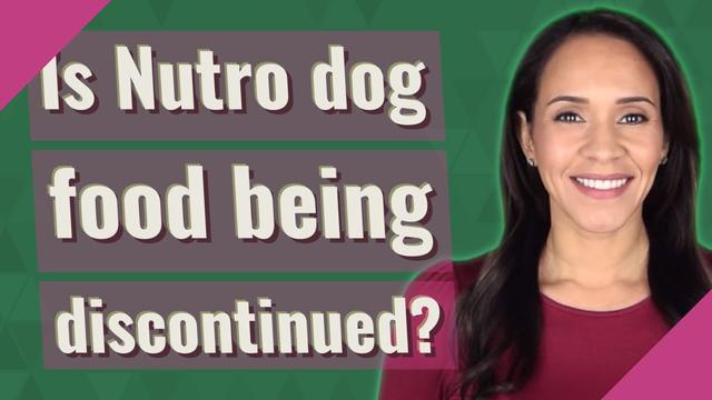 Is Nutro Dog Food Being Discontinued? Find Out Here!