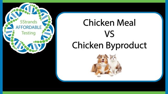 what is the difference between chicken meal and chicken by product