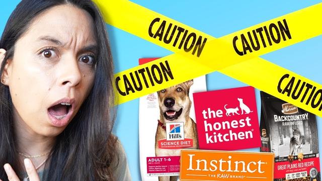 Merrick Vs Purina Pro Plan Which Dog Food Is Right For Your Pet 
