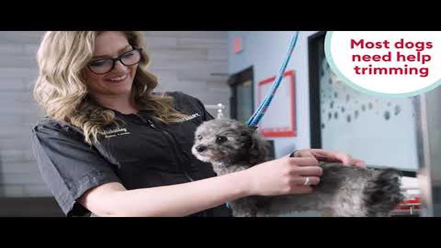 Petsmart Nail Trim Cost: Prisgunstig stell av kjæledyr hos Petsmart