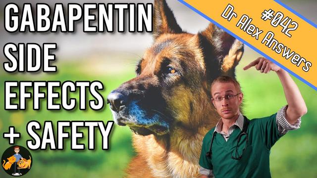 gabapentin bad for your liver