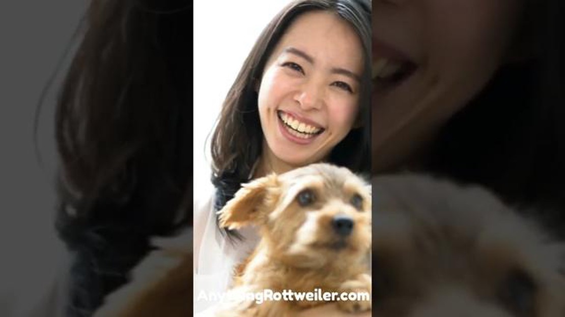 Dog Friendly Places Best From Our Blog FeelGoodHHS