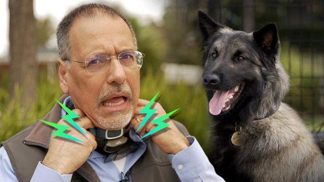 Hondentrainingshalsband, VOOR 2 HONDEN, - HE Products