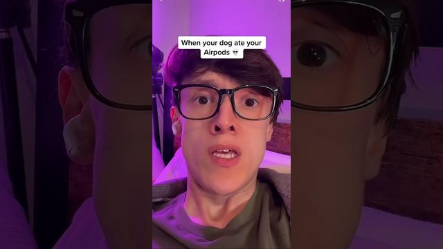 what-to-do-if-your-dog-ate-your-airpod-tips-and-solutions