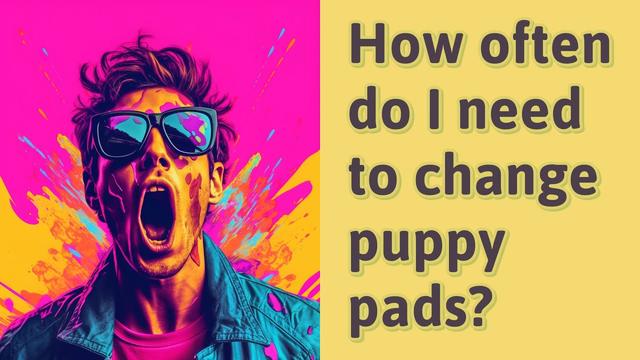 How Often To Change Puppy Pads: A Guide for Pet Owners