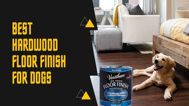 the-best-finish-for-hardwood-floors-with-dogs-how-to-protect-your-floors