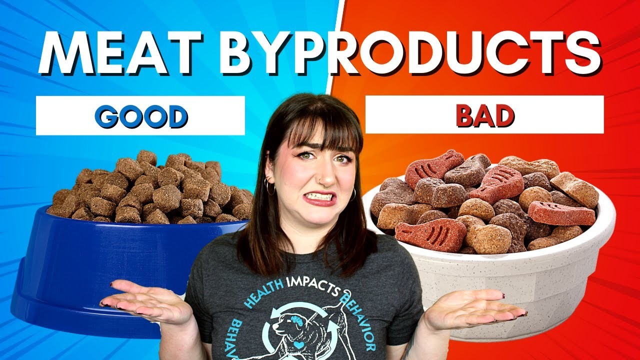Are Chicken By-Products Harmful in Dog Food?