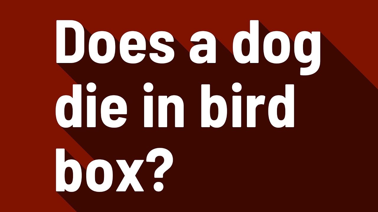 ¿Muere un perro en una caja para pájaros?