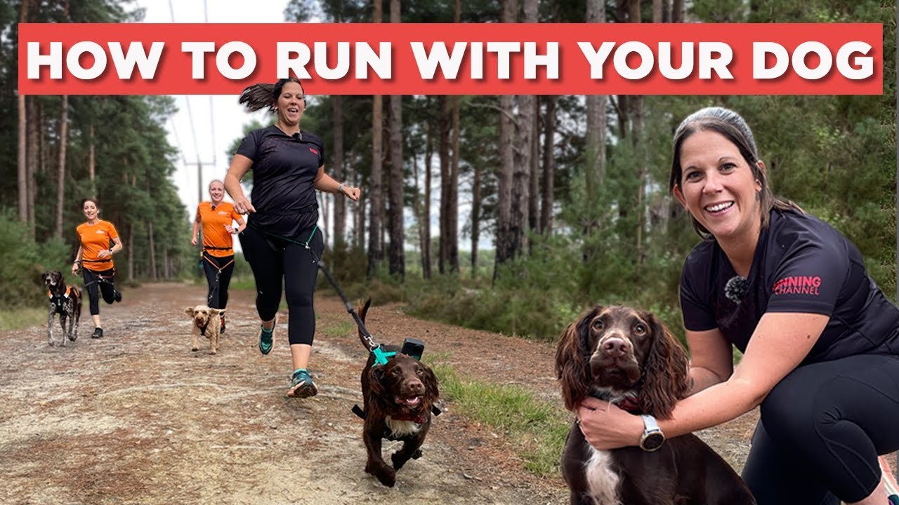 ¿Hasta dónde debe correr con su perro?