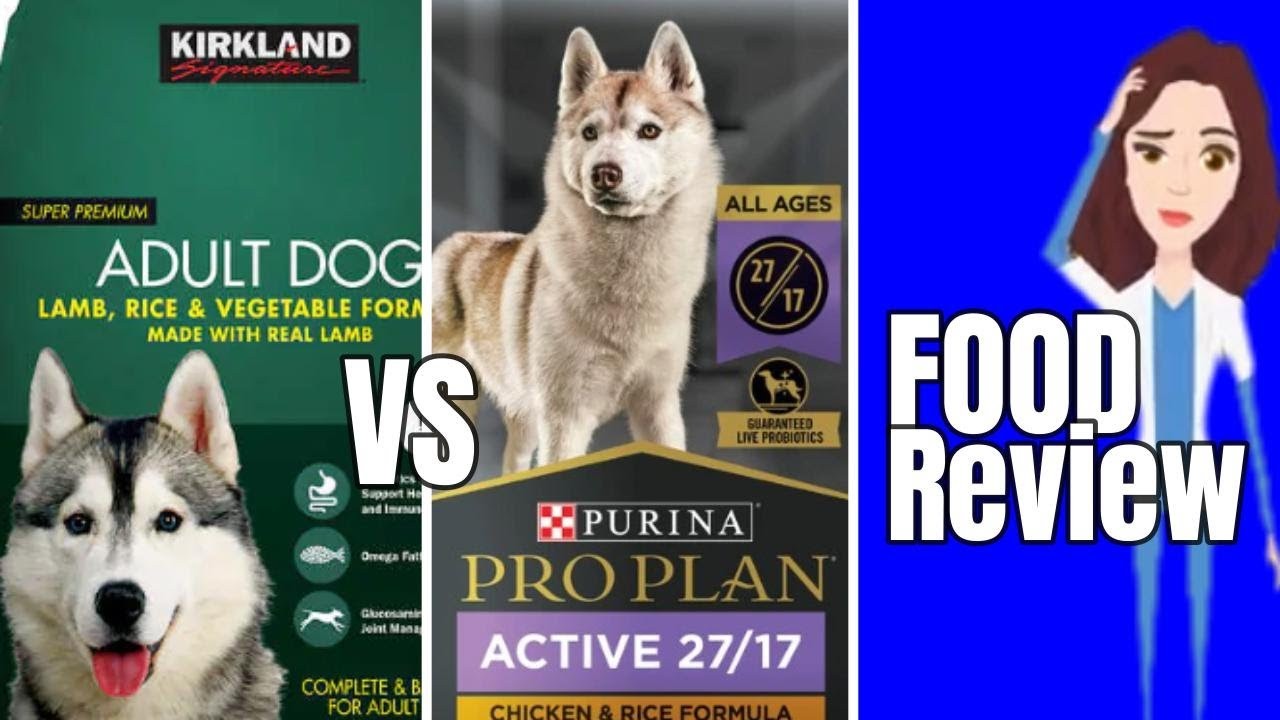 Is Costco Dog Food Beneficial for Dogs?