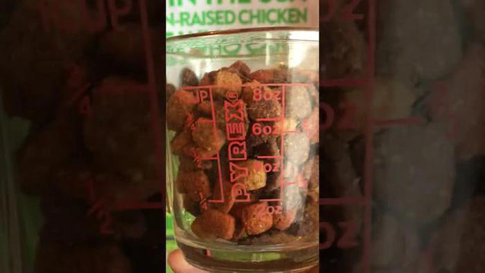 30파운드짜리 개 사료 한 봉지는 얼마나 오래 보관할 수 있나요? 반려견의 영양 유지를 위한 가이드